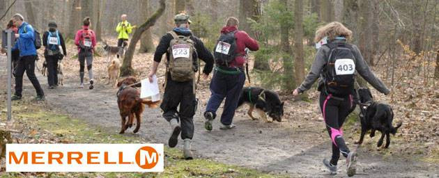 Zawody Pucharu Polski w Dogtrekkingu 2015 w Złotym Stoku