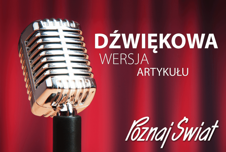 Artykuł: Miasto to dźwięki