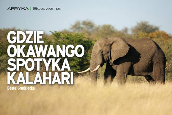 Gdzie Okawango spotyka Kalahari