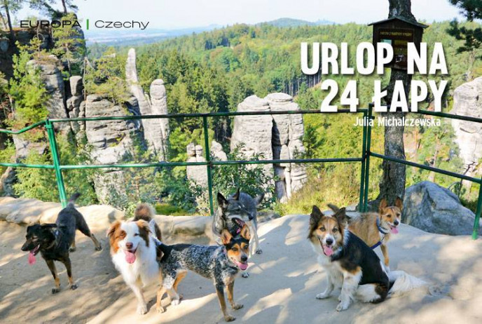 Urlop na 24 łapy