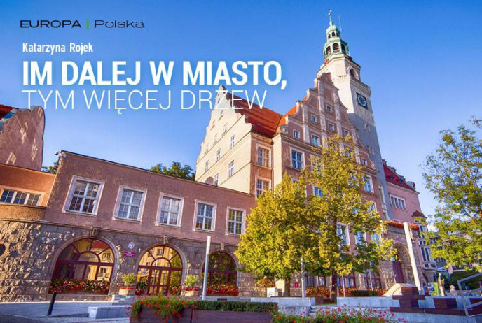 Im dalej w miasto, tym więcej drzew