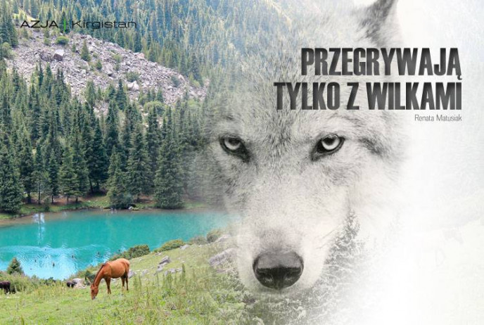 Przegrywają tylko z wilkami