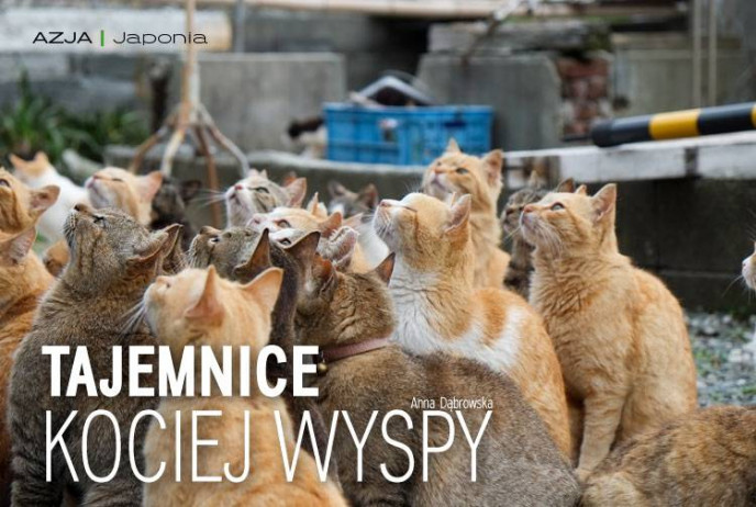 Tajemnice kociej wyspy