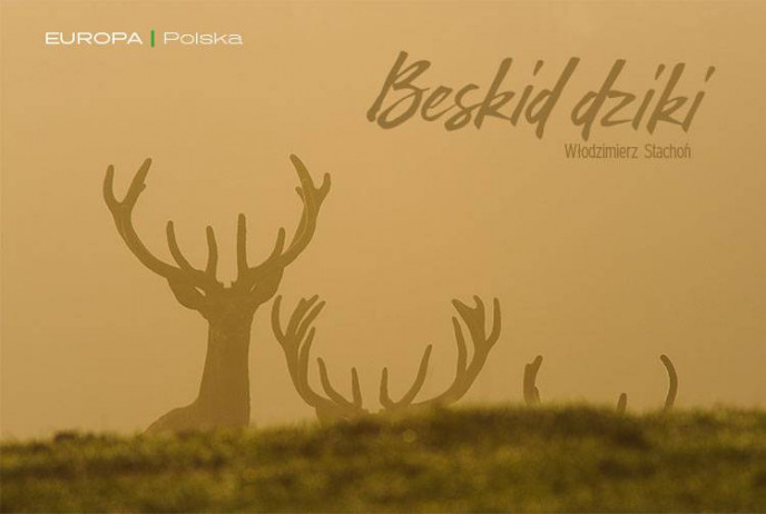 Beskid dziki