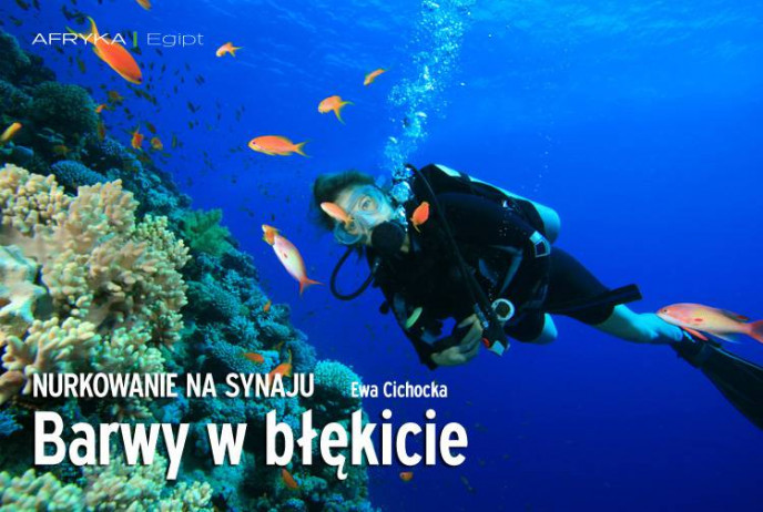 Barwy w błękicie