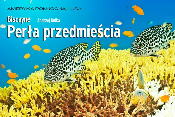 Perła przedmieścia