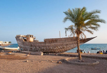 EMERYTURA POD PALMAMI