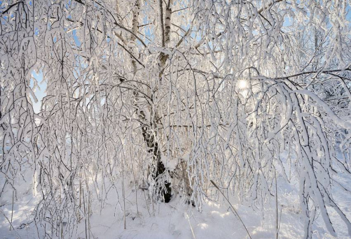 Malarz używa pędzla, fotografik światła