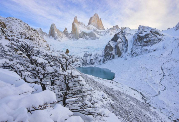 Fitz Roy i dzierzbotyran