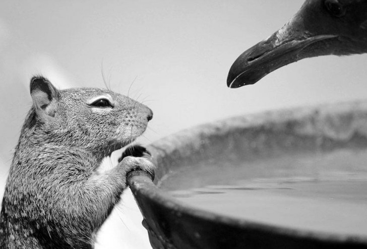 Napić się czy nie?