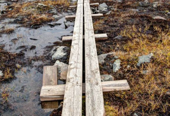 Na królewskim szlaku