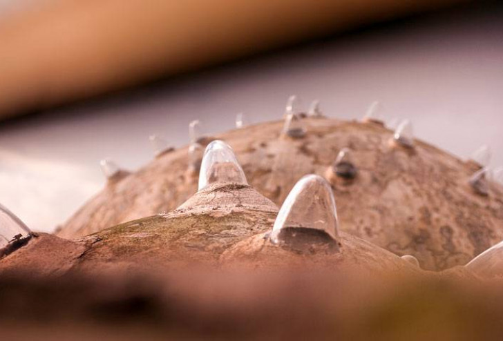 Czas się zatrzymał w Gaziantep