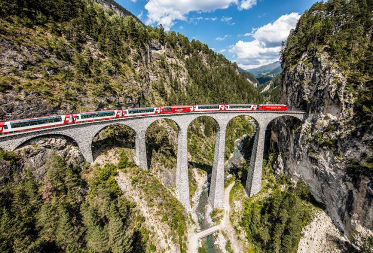 KOLOS NA SZEŚCIU NOGACH