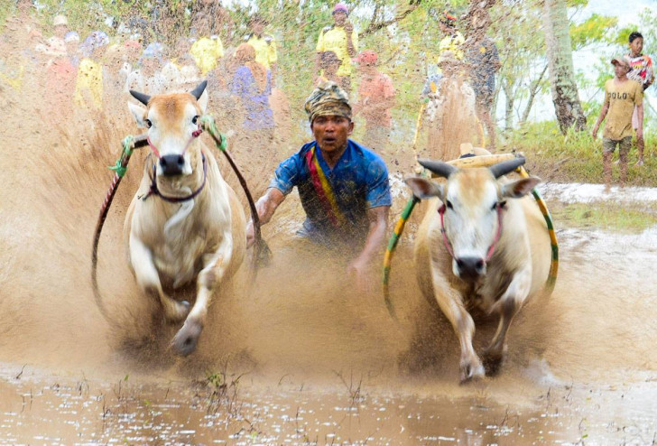 W szpagacie po błocie