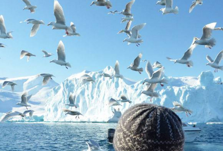 Połów na polski stół