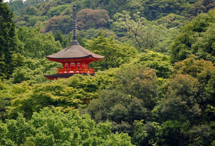 ŁADNA PAGODA