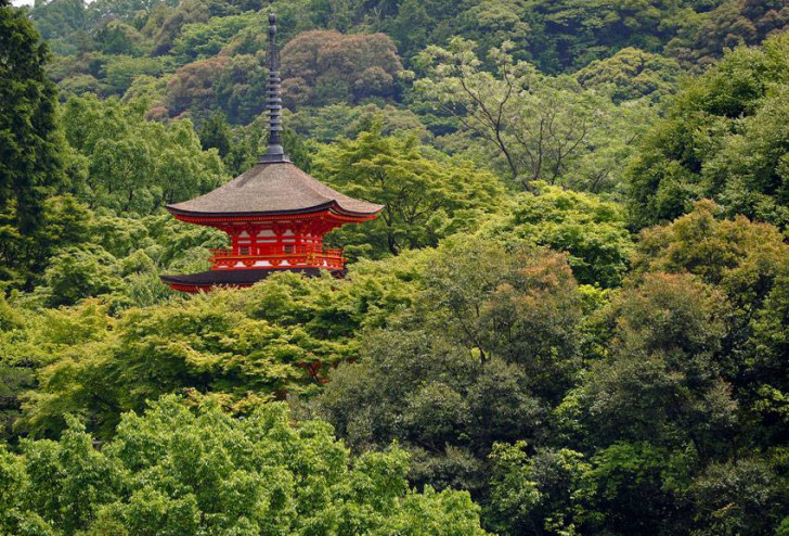 ŁADNA PAGODA