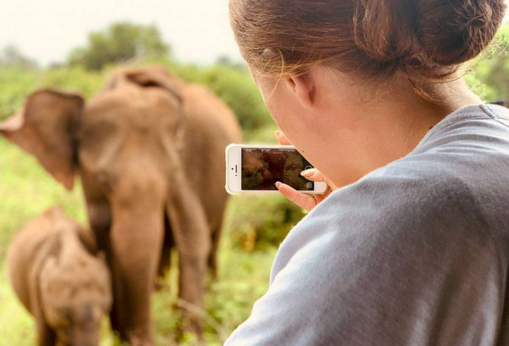 Słonie w smartfonie