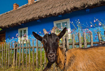 Skansen w Maurzycach