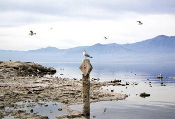 Salton Sea / USA
