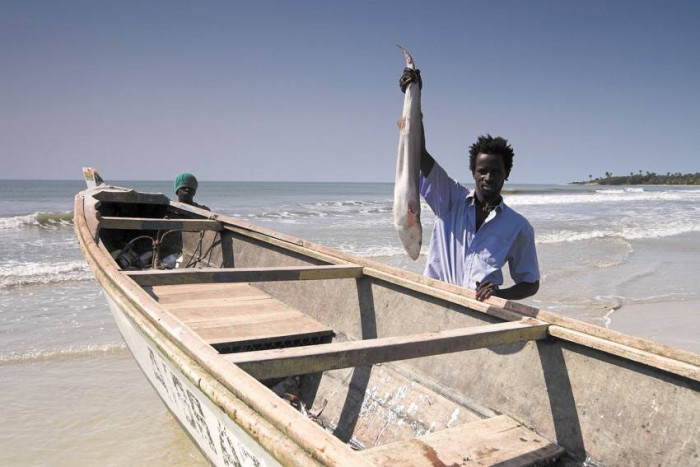 Rybak ze zdobyczą / Senegal