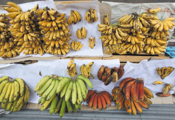 Banany na targowisku / Meksyk