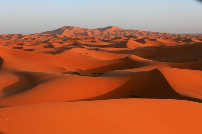 Piekło pustyni