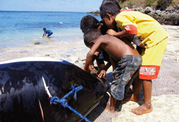 Czym skorupka za młodu nasiąknie?