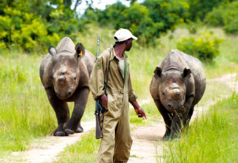 OCHRONIĆ STRAŻNIKA