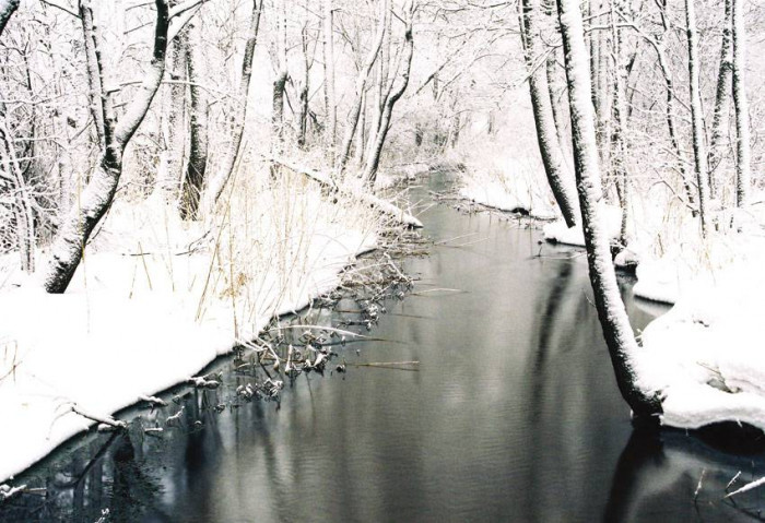 DĄBROWA GÓRNICZA, BŁĘDÓW