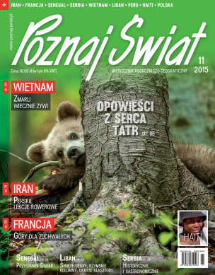 Okładka numeru 11.2015