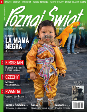 Okładka numeru 11.2019