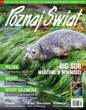 Okładka numeru 10.2020