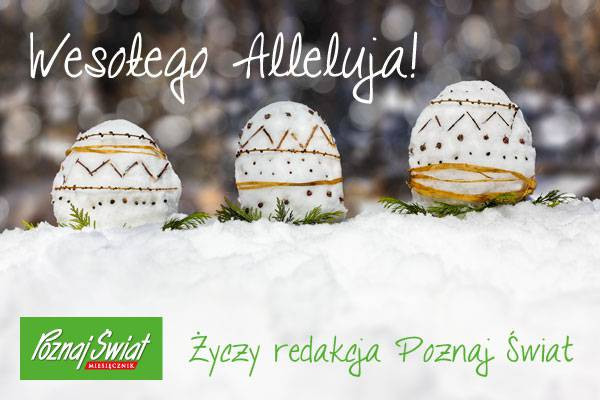 Wesołego Alleluja