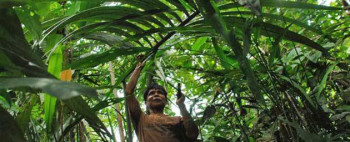 "Miłość, nienawiść i zdrada w społeczeństwie Bora z Amazonii peruwiańskiej"