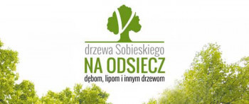 Drzewa Sobieskiego. Na odsiecz dębom, lipom i innym drzewom