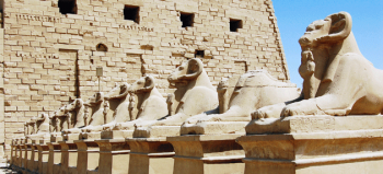 Replika grobu Tutanchamona otwarta