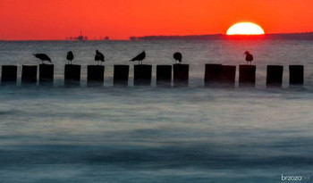 Bałtycki plener fotograficzny z Tokiną