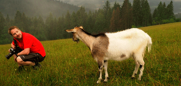 Pieniny krajobrazowo-owczarskie z Tokiną