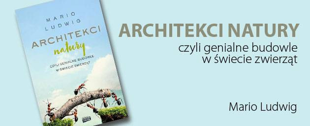 Książka Mario Ludwiga "Architekci natury, czyli genialne budowle świata zwierząt"