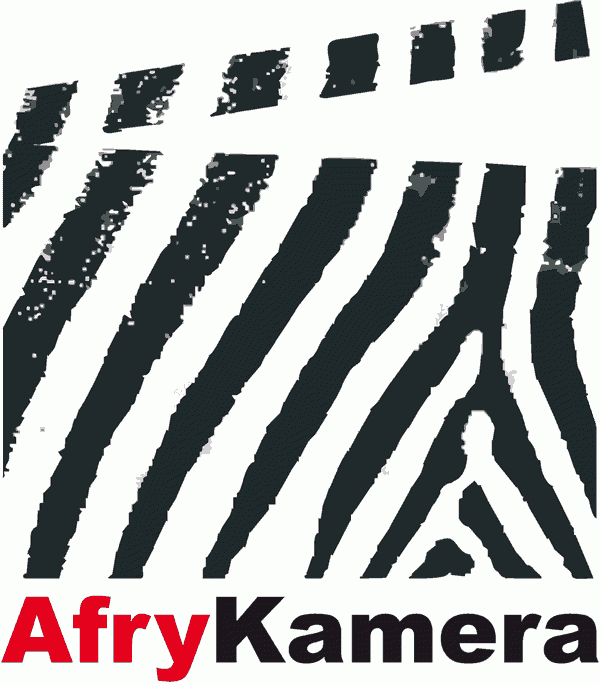 AFRYKAMERY 2012